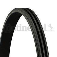 Kanalli Kayis Fortwo Cabrio (451) 07> Fortwo Coupe (451) 07> CONTI 3PK806ELAST