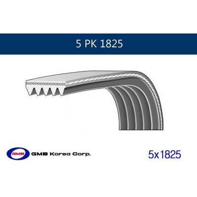 Kanalli Kayis GMB GPK 5PK1825