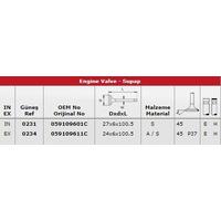 Subap Takimi (In 12 / Ex 12) A6 2 5Tdi V6 24V GUNES 0231-0234