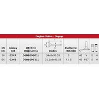 Subap Takimi Audi Diesel 80 Cc Cd Golf Jetta (In 4 / Ex 4) GUNES 0247-0248