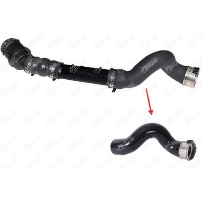 Turbo Hortumu Buyuk Plastik Parca Haric Kangoo Ii 1.5 Dci IBRAS 11774