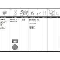 Motor Piston+Segmani ( Riken )  79 00+Stdmm Cap Vectra 1.6I 16V Astra 1.6I Meriva 1.6I 16V Zafira 1.6I 16V Y16 Xe-Z16Xe 4Sil. Benzinli 1598 Cc-74 Kw (101 Ps) KINGPISTON 18-3010390