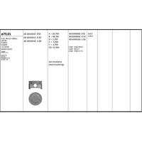 Motor Piston+Segmani ( Riken )  79 01+0 50Mm Cap Astra H Astra J Insignia 1.6 Cruze 1.6 Z16Xer-A16Xer-1.6 Cruze -Oem2510255 4 Sil. Benzinli 1600Cc-120 Bg KINGPISTON 18-3010413