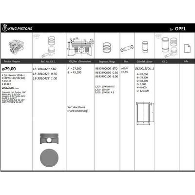 Motor Piston+Segmani ( Riken )  79 00+1 00Mm Cap Corsa D 1.6I Turbo 16V Astra H-J 1.6I 16V Insigna 1.6I Turbo 16V A16/Z16 Lel/Ler/Let Euro 5 4 Sil. Benzinli 1600 Cc-132Kw (180 Bg) KINGPISTON 18-3010428