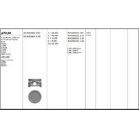 Motor Piston+Segmani ( Riken )  79 00+Stdmm Cap Astra Ii 1.6 I Kat Corsa Kadett Vectra Ascona C16Nz-X16Szr-E16Nz-X16Sz-Glbh 1.6 Lz R 4 Benzin  1598 Cm³-55 75 Kw (75 102 Ps)-8 6:1-En KINGPISTON 18-3010480