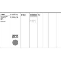 Motor Piston+Segmani ( Riken )  79 00+1 00Mm Cap Meriva 1.6 Astra Twinport Z16Xep 4 Sil. Benzinli 1598 Cc-74 Kw (101 Ps) KINGPISTON 18-3010408