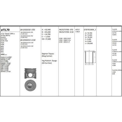 Motor Piston+Segmani ( Riken )  73 70+Stdmm(-20) Cap Fiesta V 1.4 Tdci Fusion 1.4 Tdci Mazda 2 1 4D C2 1.4 Hdi C3 I 1.4 Hdi Xsara 1. 4 Hdi Nemo 1.4 Hdi 1007 1.4 Hdi 107 1.4 Hdi 206 1.4 Hdi 207 1.4 Hdi 307 1.4 Hdi Bipper 1.4 Hdi Dv4Td-Dv4 Ted-Dv4Cted-F6Ja-F