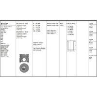 Motor Piston+Segmani ( Riken )  73 70+0 50Mm(-20) Cap Fiesta V 1.4 Tdci Fusion 1.4 Tdci Mazda 2 1 4D C2 1.4 Hdi C3 I 1.4 Hdi Xsara 1. 4 Hdi Nemo 1.4 Hdi 1007 1.4 Hdi 107 1.4 Hdi 206 1.4 Hdi 207 1.4 Hdi 307 1.4 Hdi Bipper 1.4 Hdi Dv4Td-Dv4 Ted-Dv4Cted- 4 Si