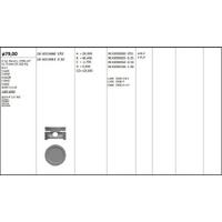 Motor Piston+Segmani ( Riken )  79 05+0 50Mm Cap Astra Ii 1.6 I Kat Corsa Kadett Vectra Ascona C16Nz-X16Szr-E16Nz-X16Sz-Glbh 1.6 Lz R 4 Benzin  1598 Cm³-55 75 Kw (75 102 Ps)-8 6:1-En KINGPISTON 18-3010483