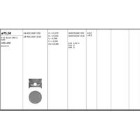 Motor Piston+Segmani ( Riken )  76 00+0 50Mm Cap Accent 1 5 G4Ek 4 Sil. Benzinli 1495 Cc 90-00 KINGPISTON 18-4011103