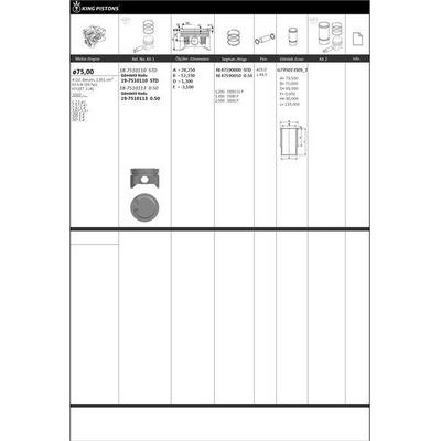 Piston + Segman + Gomlek (Kit) 75 Stdmm - ( Riken Segmanli ) C 2 1.4 I*C 3 I 1.4 I*C 4 I 1.4×1007 1.4 I*206 1.4×207 1.4×307 1.4 Kfu(Et 3 J4) Engine KINGPISTON 19-7510110