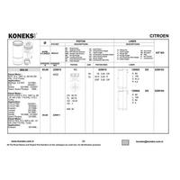 Motor Gomlek Partner Ii Berlingo Ii P307 C4 C5 Boxer Ii Jumper Ii Ducato Ii P206 Dw10Td (2 0Hdi 8V) P407 C5 Ii P607 C8 P807 P308 P508 Rcz Dw10Bted4 (2 0Hdi 16V) KONEKS 129904