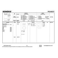 Motor Segman P205 P106 P206 Tu3Jp (1 4 8V) / (75 00Mm) (Std) Olcu: (1 75×2×3) KONEKS 603140