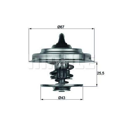 Termostat 75 °C Conta Ile Mercedes Renault Iveco MAHLE TX1875D