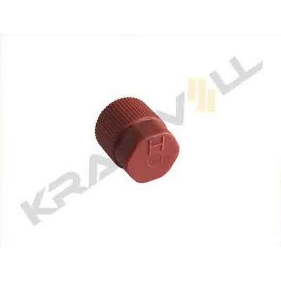 Subap Kapagi Mavi  M10×1.25  Alcak Basinc (5Adet) KRAFTVOLL 19013039