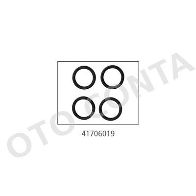 Emme Manifold Contasi Oring Takimi Lastik C1 C2 C3 P107 P206 P207 P307 1 4Hdi Dv4D 8Hx OC 41706019