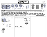 Piston+Segman (81 00Mm Std) Amarok 122 / 163 / 180Ps Beetle 140Ps Crafter 109 / 136 / 142 / 163Ps Golf Vi 140Ps Jetta Iii / Iv 140Ps T6 102 / 114 / 136 / 140 / 180Ps Caaa Caab Caac Caad Caae Ccha Cchb Cdba Cdca Cfca Cjaa Cktb Cktc Ckub Ckuc Cnea Cnfa Csha